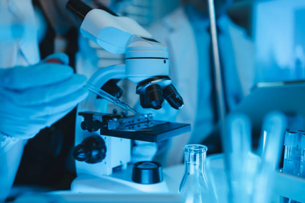 istock lab, scientist working on scientific equipment in modern laboratory, International team of scientists working together in medical laboratory doing research on chemicals and bacteria 2191122812