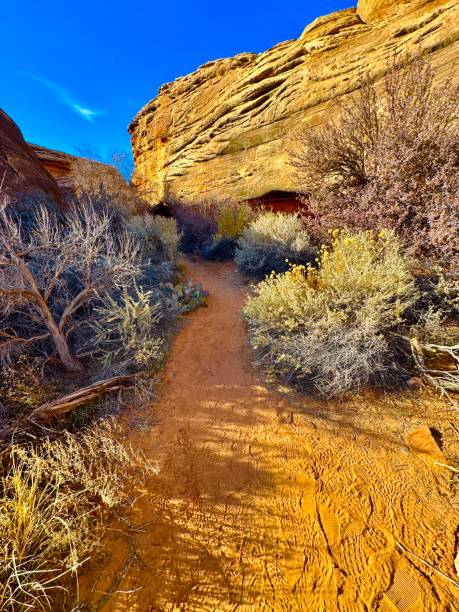 istock Canyonlands National Park 2191122989