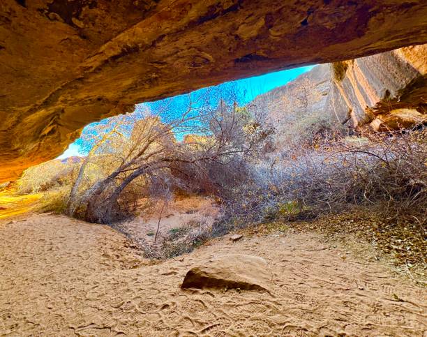 istock Canyonlands National Park 2191123791