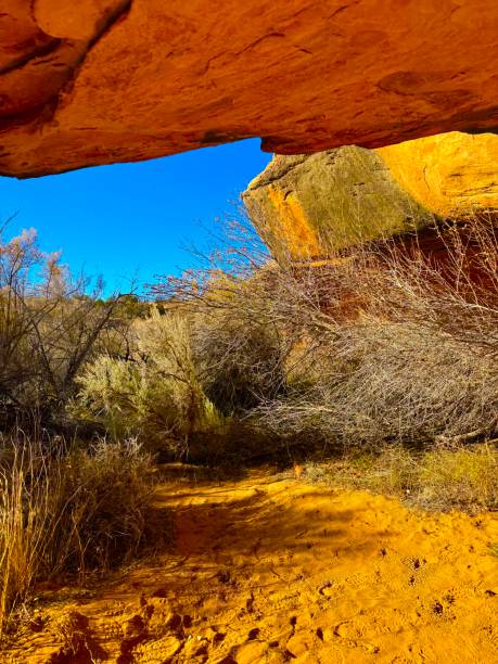 istock Canyonlands National Park 2191123818
