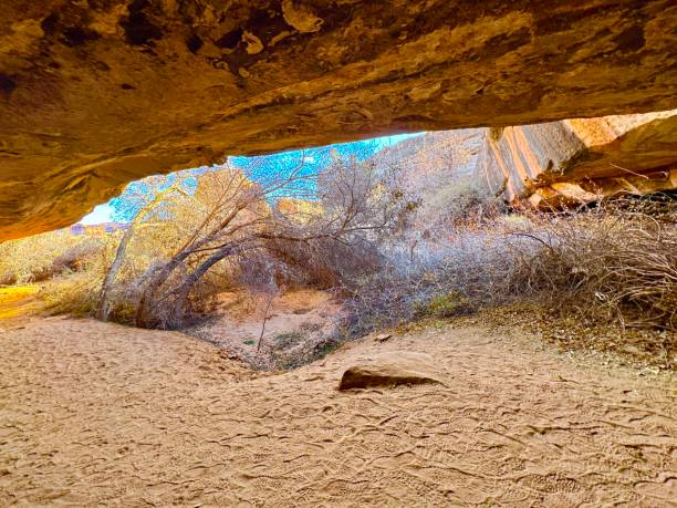 istock Canyonlands National Park 2191123945