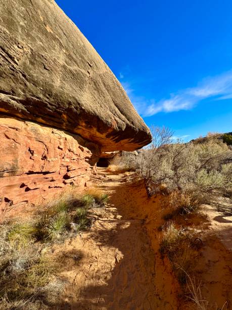 istock Canyonlands National Park 2191124046