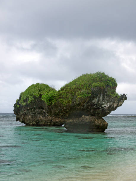 istock Mushroom Rocks in turquoise water 2191125215
