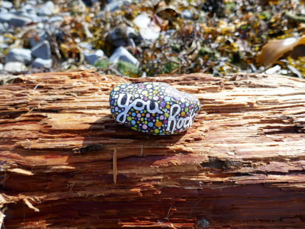 istock You rock kindness rock on beach driftwood 2191125393