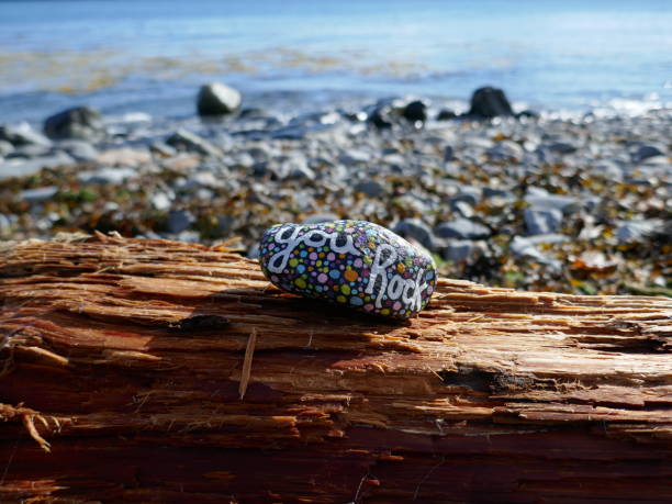 istock Driftwood log by ocean with kindness rock on top 2191125395