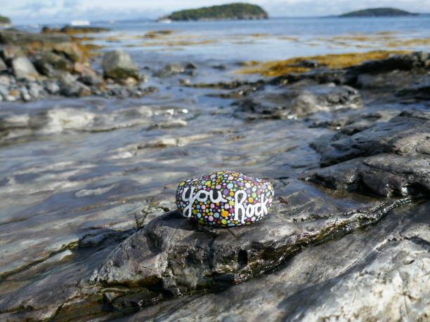 istock Tide pool in ocean water with kindness rock 2191125451