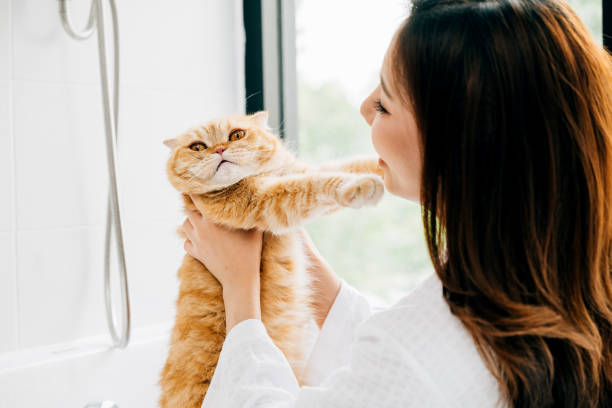 istock Enjoying a luxurious bath, an attractive woman's radiant smile reflects her deep connection with her Scottish Fold cat in their cozy bathroom setting. 2191129555