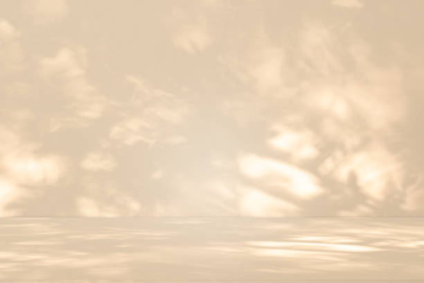 istock Studio style background wall decoration presentation uses white and beige tones. with shadows cast from a nearby window, concept creating a decorative 2191129846