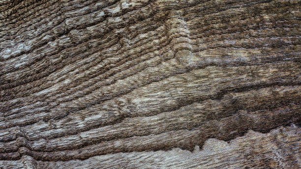 istock Beautiful wood grain. Wood background. Wood grain pattern texture background 2191129951