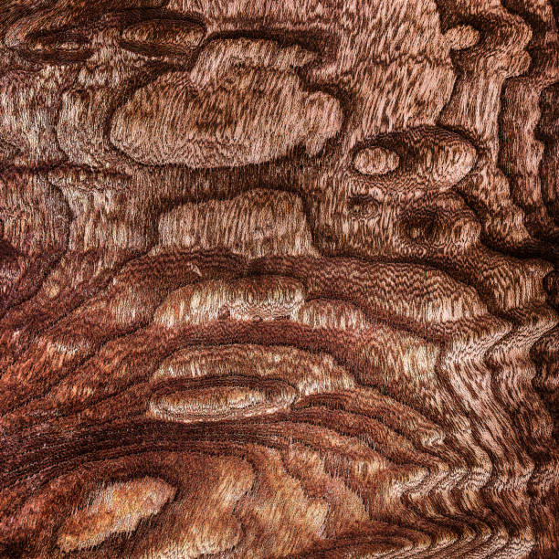 istock Beautiful wood grain. Wood background. Wood grain pattern texture background 2191129984