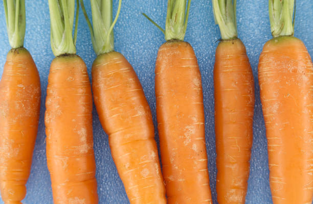 Close-up of fresh, organic carrots neatly arranged on a textured blue background, emphasizing healthy eating and sustainable farming practices