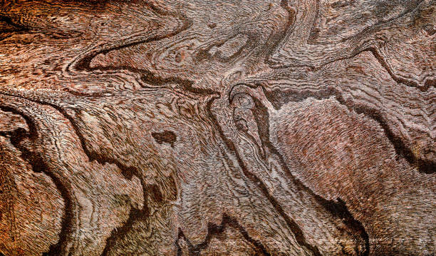 istock Beautiful wood grain. Wood background. Wood grain pattern texture background 2191130015