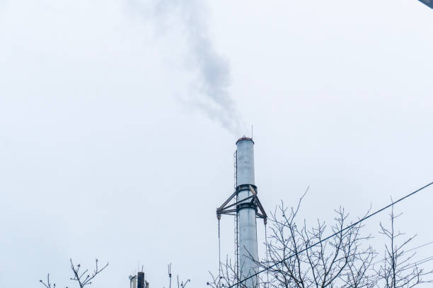 A tall smokestack releases smoke into the overcast sky amid bare trees in winter