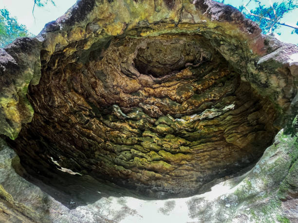 A striking sandstone cave perched on the edge of a cliff, surrounded by the natural beauty of the Australian bush. Featuring a spacious cavern with intricate eroded patterns on its surface