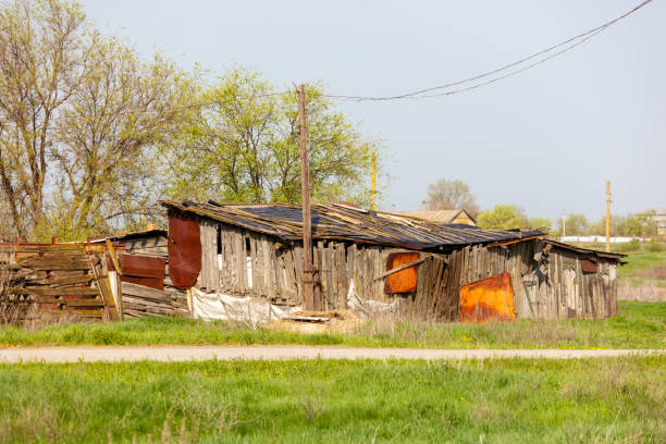 A run down shack with a rusty roof sits in a field. The shack is surrounded by trees and has a wire fence. Scene is one of loneliness and abandonment