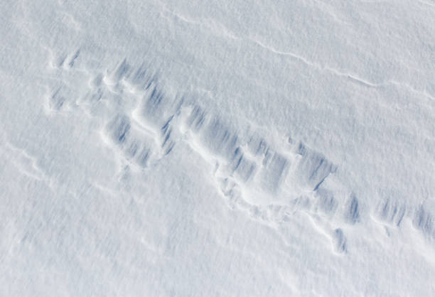 istock The snow is white and the ground is covered in it 2191137248