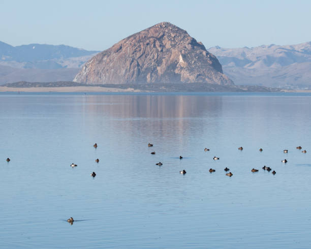istock View of Morro Rock from Los Osos 2191141649
