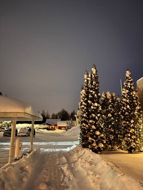 istock Winter landscapes in the night 2191142355