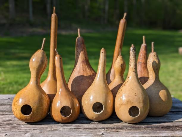 istock Bird House Gourds 2191142796