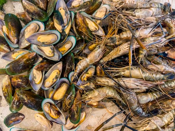 istock Seafood buffet: mussels and shrimps. 2191145014