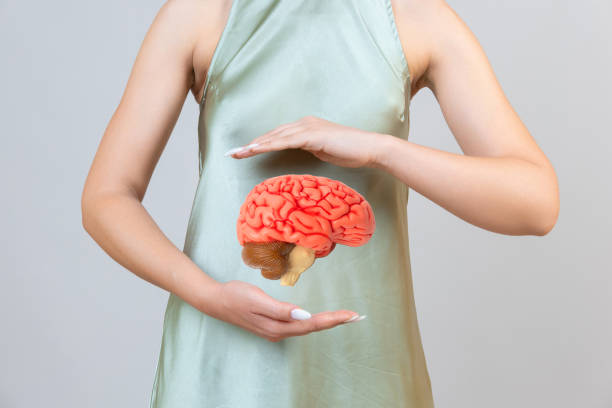 istock Doctor hold in hand anatomical model human brain. 2191145459