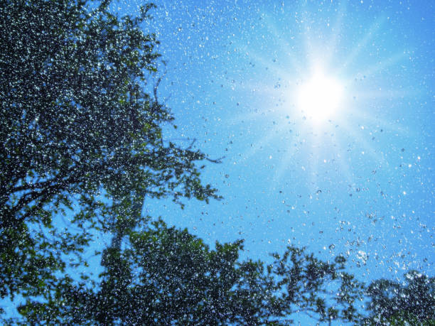 Motion blur. Sunny and small bubbles floating in the air and blue sky background with copy space