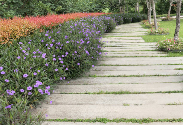 istock Concrete walkway in a garden with flowers 2191147610