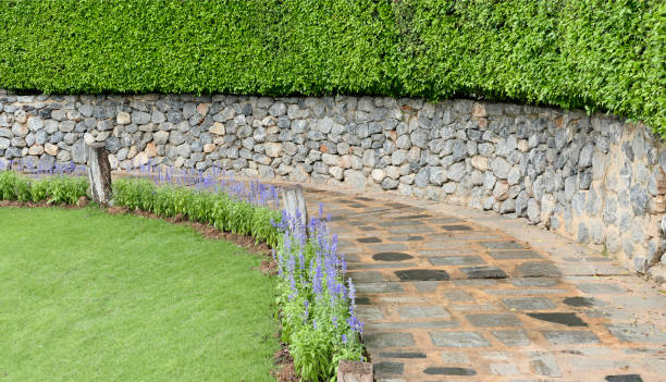 istock Concrete cement walkway in the garden lawn 2191147617