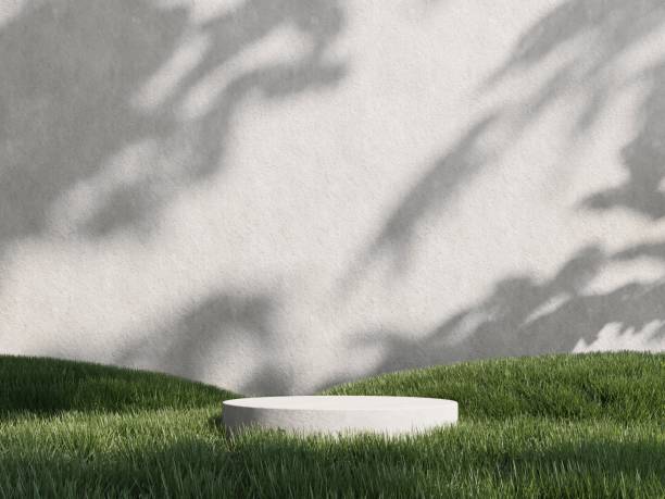 istock 3d render of podium, showcase, display in green grass. Unobtrusive botanical background with shadow on the wall. 2191150882