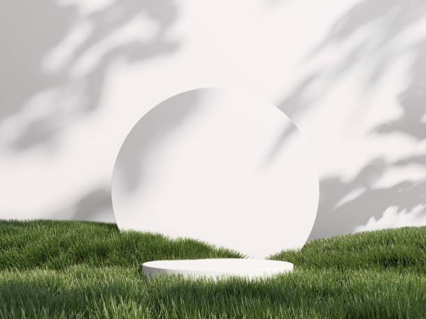 istock 3d render of podium, showcase, display in green grass. Unobtrusive botanical background with shadow on the wall. 2191150885