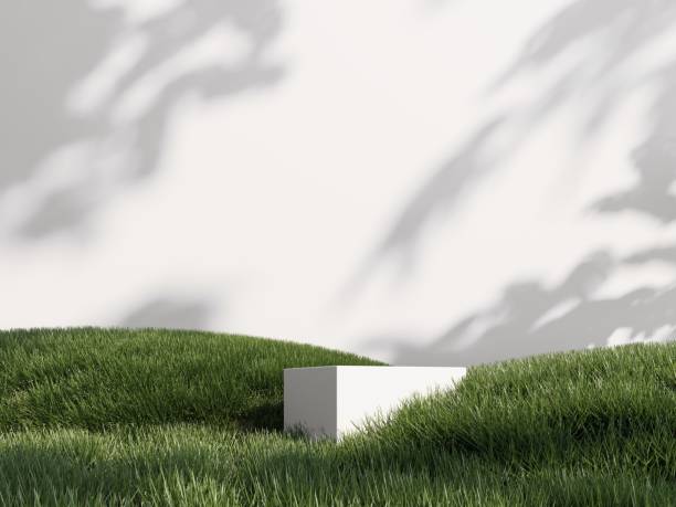 istock 3d render of podium, showcase, display in green grass. Unobtrusive botanical background with shadow on the wall. 2191150892