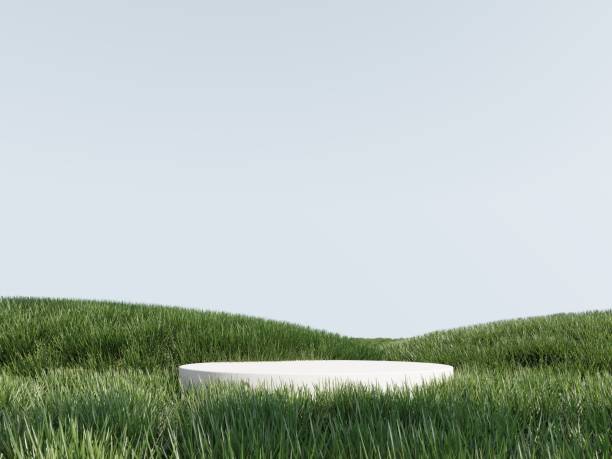 istock 3d render of podium, showcase, display in green grass. Unobtrusive botanical background with shadow on the wall. 2191150899
