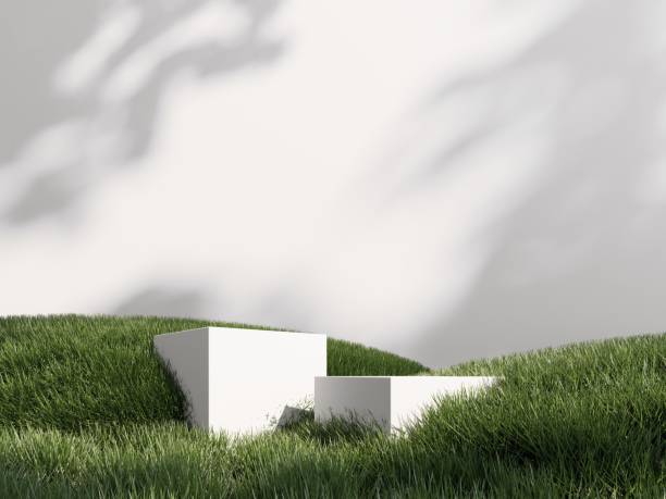 istock 3d render of podium, showcase, display in green grass. Unobtrusive botanical background with shadow on the wall. 2191150902