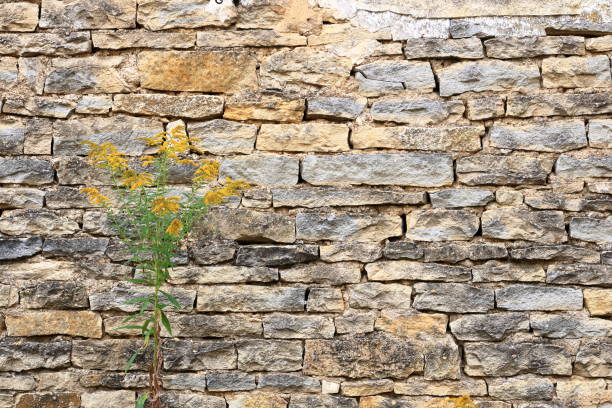 a yellow beige sand color stone brick vertical wall