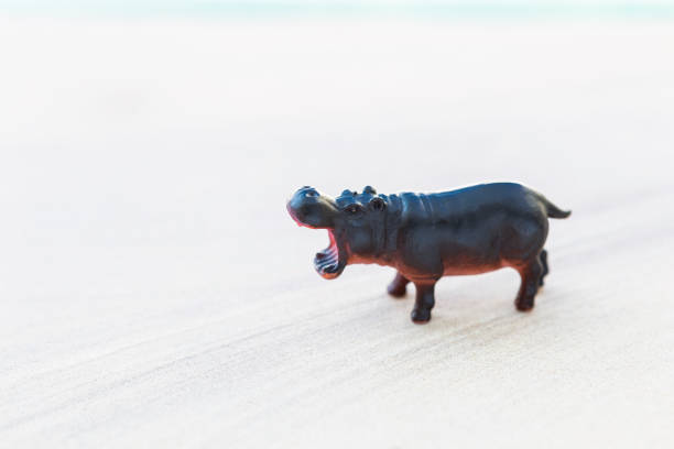 Hippopotamus toy on cement floor background, outdoor day light, plastic animal toy