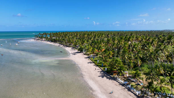 istock Northeastern Brazil Skyline At Tamandare In Pernambuco Brazil. 2191156079