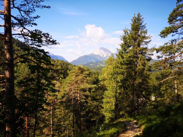 istock Scenic forest and mountain view 2191156354