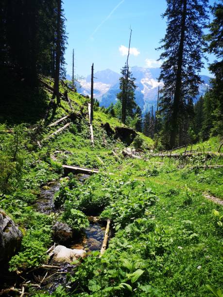 istock Lush forest landscape with a clear stream and mountains. 2191156364