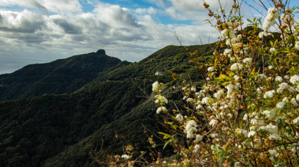 istock Mountain valley in bloom in Tenerife 2191156776