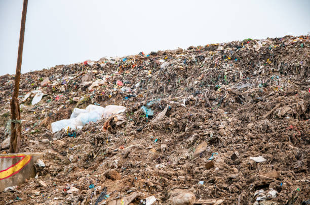 Pile of domestic garbage in landfill