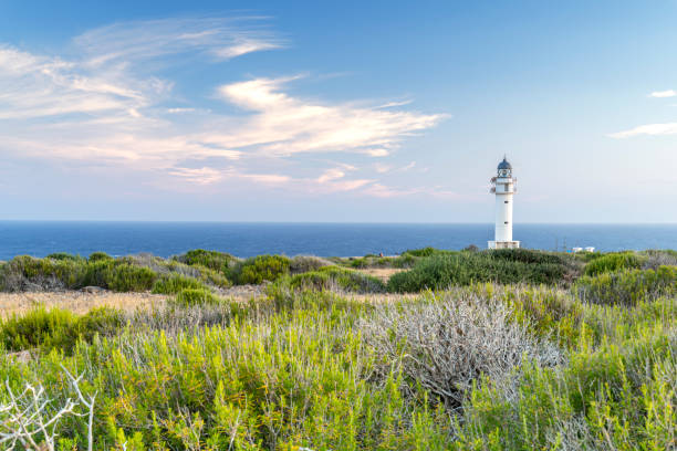 Lighthouse against blue sky, Spain White lighthouse among green shrubs of rosemary, Formentera, Balearic Islands, Mediterranean sea, Spain formentera island stock pictures, royalty-free photos & images