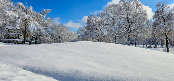 istock Winter Trees covered with snow against a blue sky in a city park. 2191170549
