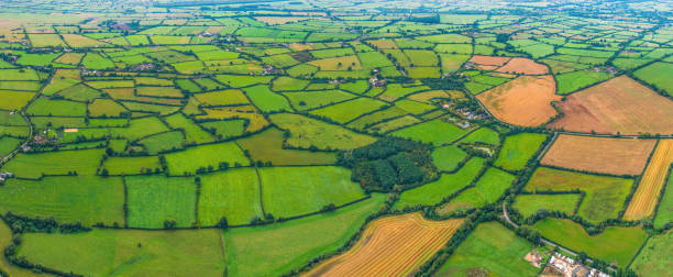 istock Aerial panorama over patchwork pasture fields crops green agricultural farmland 2191174562