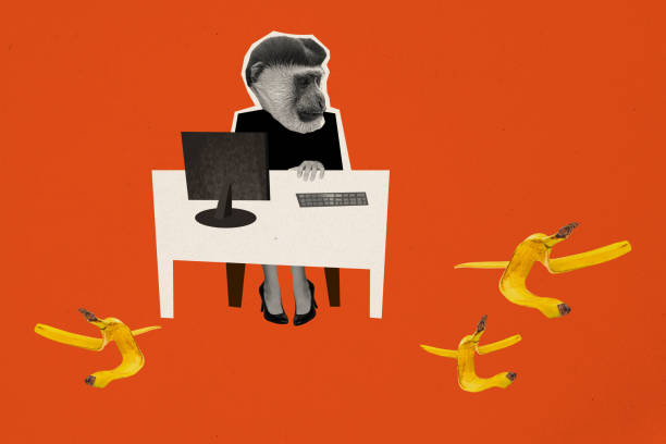 Creative photo collage sitting businesswoman monkey head instead face working computer desk workflow bananas red background