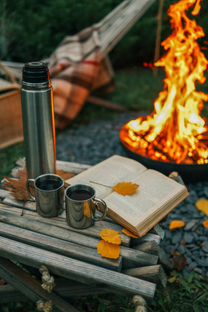 istock Book, thermos and fire, cozy autumn 2191184766
