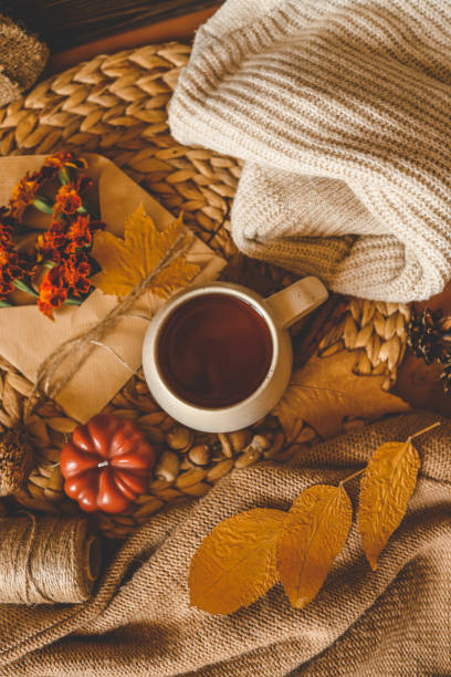 istock Cozy autumn composition with a ceramic mug of tea, surrounded by fall elements such as dried leaves, a pumpkin candle, marigold flowers, yarn, and a warm knitted sweater. Perfect for a relaxing fall atmosphere 2191184898