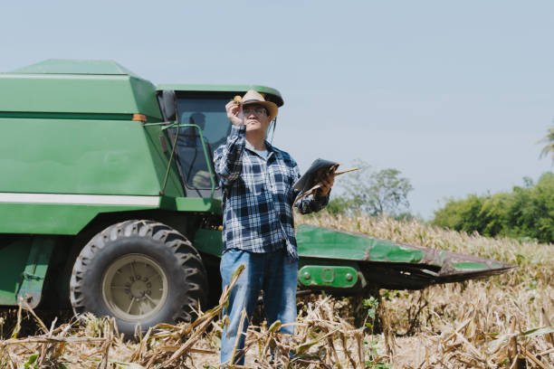 istock The owner of the corn field is analyzing the harvested corn. 2191185094