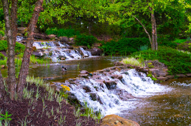 istock Waterfall- with ducks-in Fishers-Hamilton County Indiana 2191185550