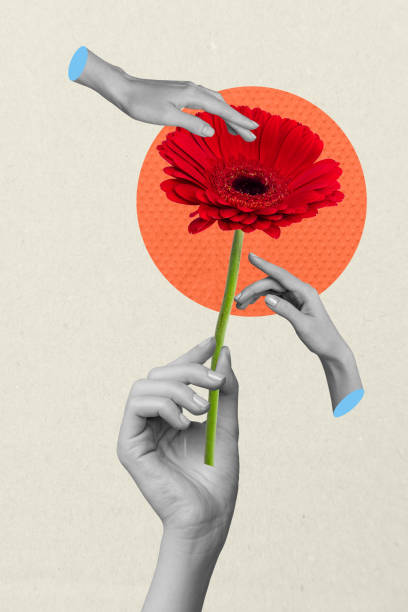 istock Vertical collage creative poster black white filter three human hand hold touch flower red exclusive colorful white background 2191186392