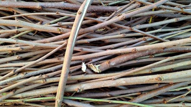 istock Close-up of a texture made of tree branches 2191187980